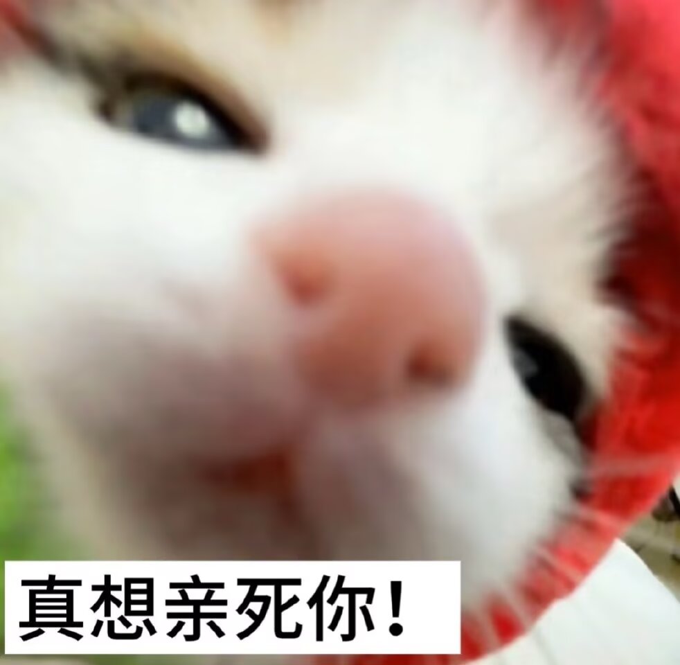 喵喵喵