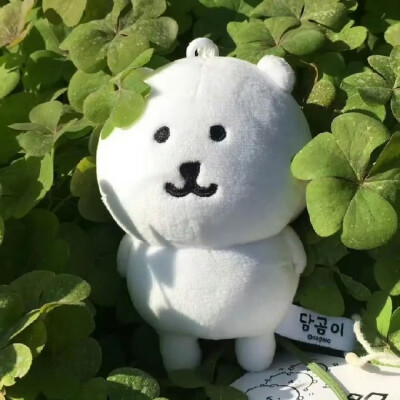 自嘲熊头像
