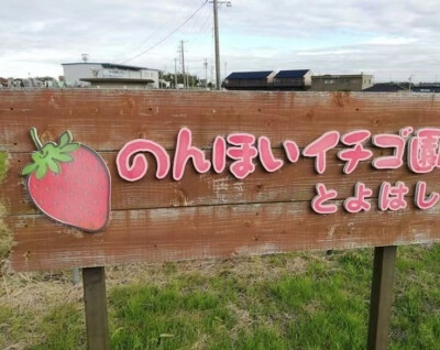 世界是喧嚣的彩