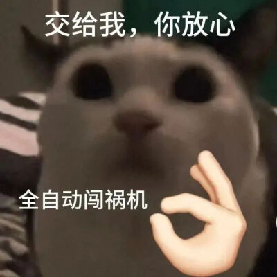 表情包