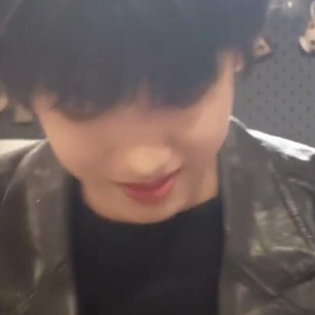 画面里有两只狗