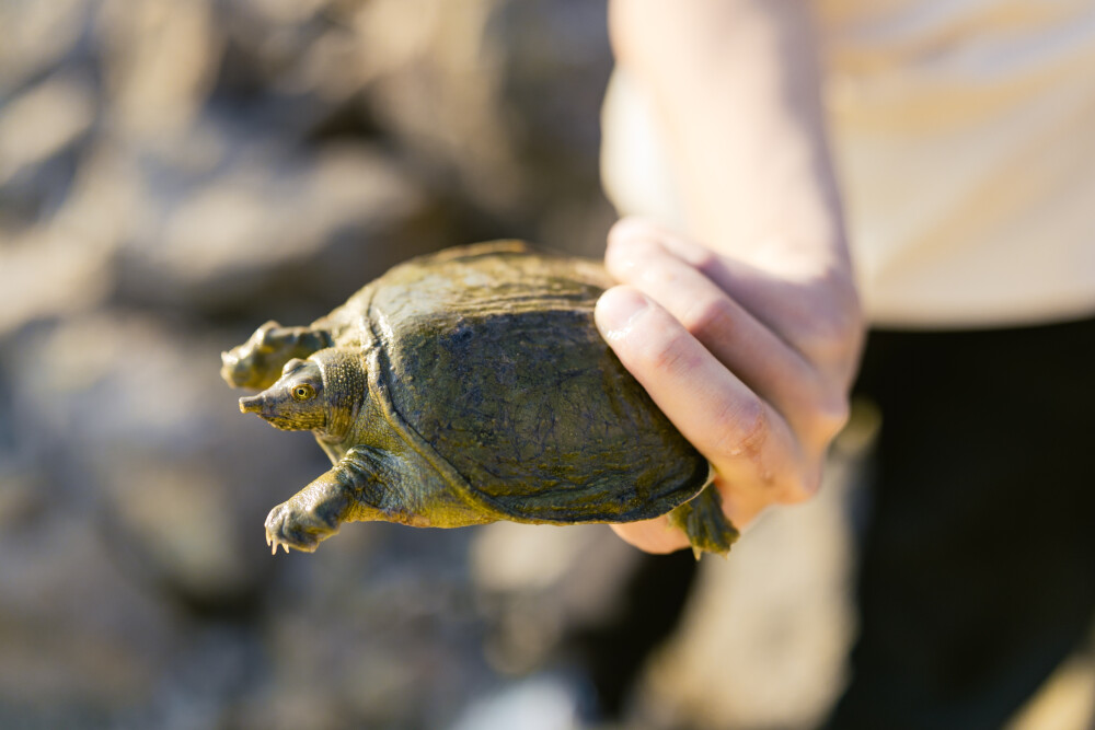 养孩子的快乐
摄影:洪小漩
出镜:家人
日常与身边人的交流中,已经好几次聊到幼小衔接的话题。
这方面,我尚未做过功课,对于行情也不甚了解。因此,当得知大家所报的机构需要7000多的时候,简直倒抽一口凉气。
甩甩脑袋,安慰自己,还早还早,菲比下半年才中班。不要自己制造育儿焦虑。我还是多带孩子上几门学科以外的课程,随便玩玩就好。
可是,即便如此,好像进展的也不是很顺利。
此前给菲比报名了商场里的绘画班,3岁多的孩子拿回家的作品简直赏心悦目,一度让我觉得她天赋异禀。直到,去年给她报名了少年宫的绘画课,少了机构老师的润色,挤干了水分的作品抽象地让我们怀疑自我的读图能力。
而到了今年,又
