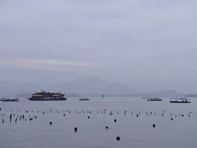 风景，植物，花，湖，鸳鸯