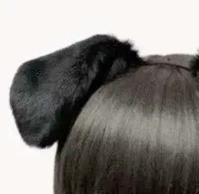 侵权删