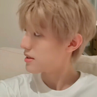 张泽禹