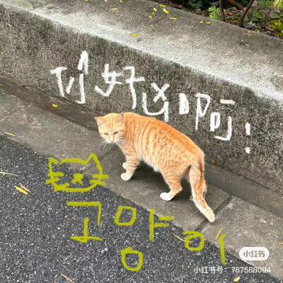 。