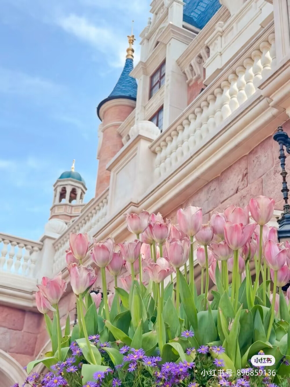 迪士尼 转自小红书和微博