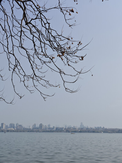 风景，植物，花，湖，鸳鸯
