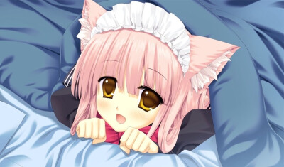 喵