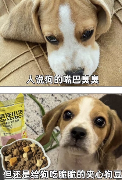 单收