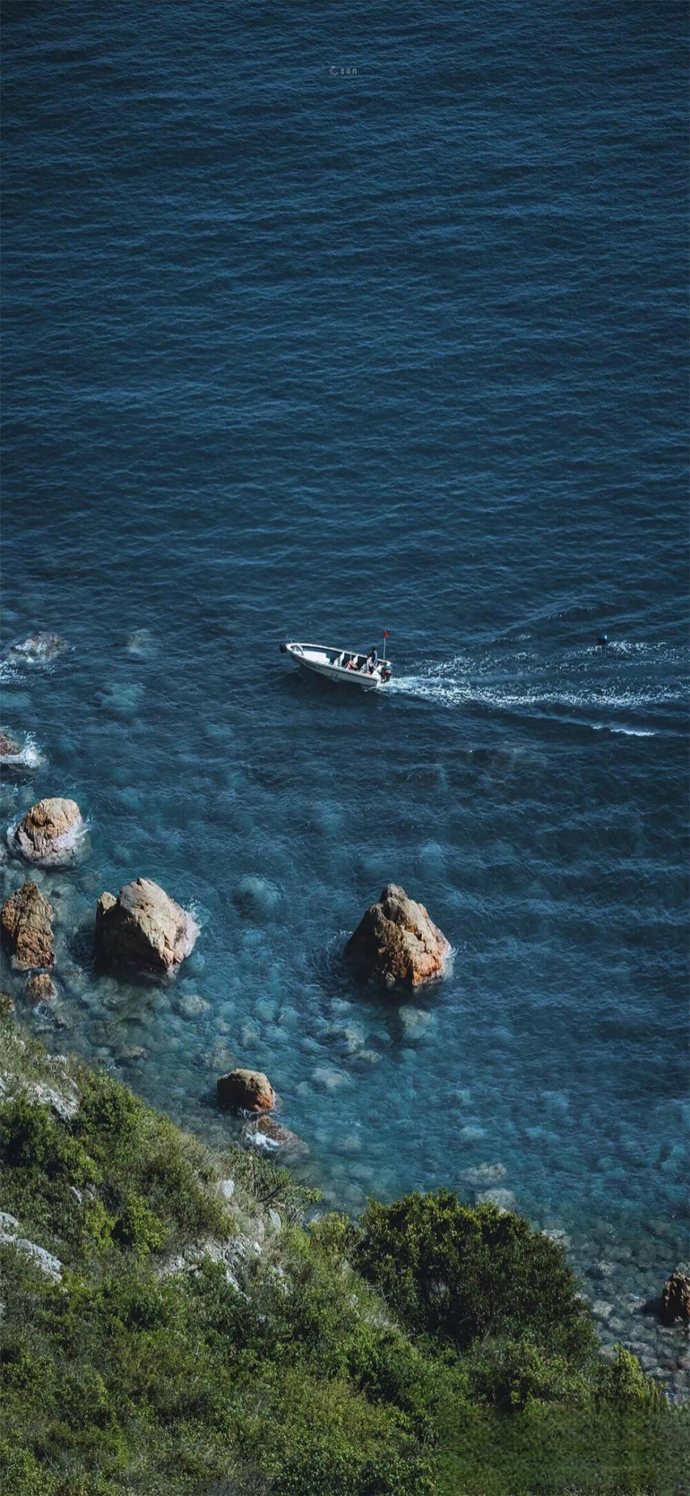 海