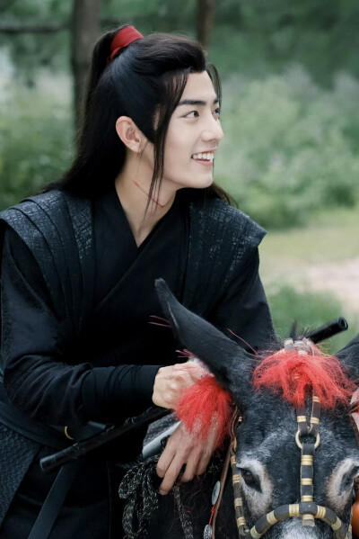 陈情令 魏无羡