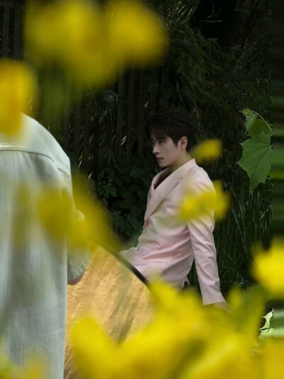 丞磊