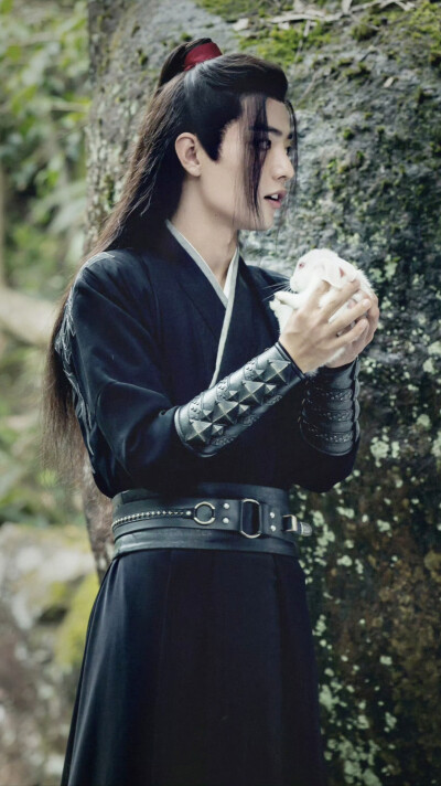 陈情令 魏无羡