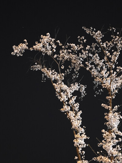 风景，植物，花，湖，鸳鸯
