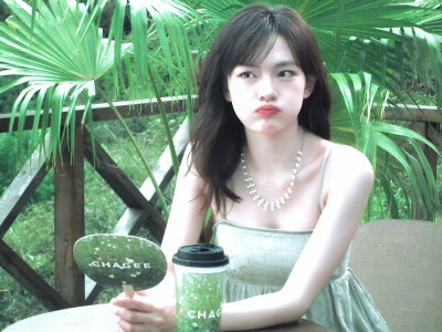 文淇
