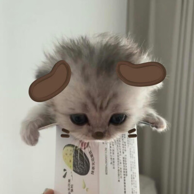 . ..