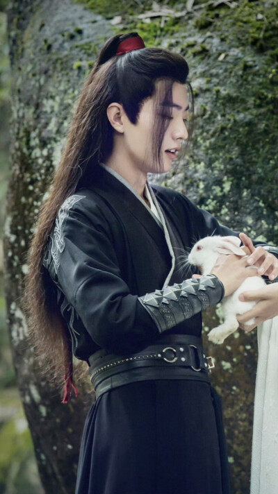 陈情令 魏无羡