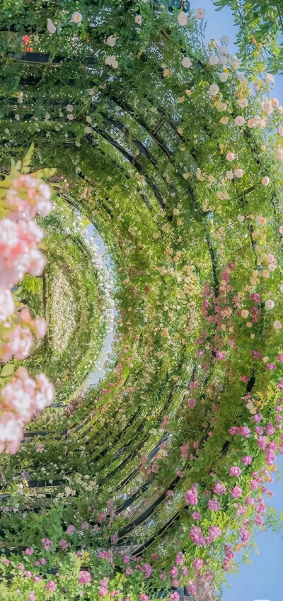 ⚛️