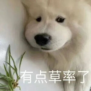 可爱表情包分享