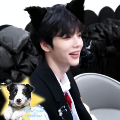 ੯‧̀͡u\边牧小狗੯‧̀͡u\