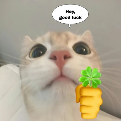 可可爱爱