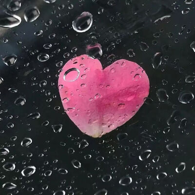 侵删