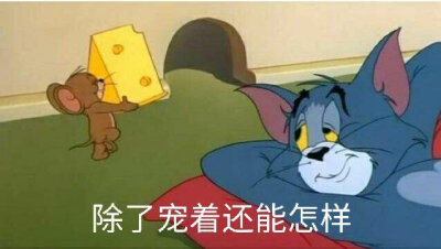 可爱表情包分享