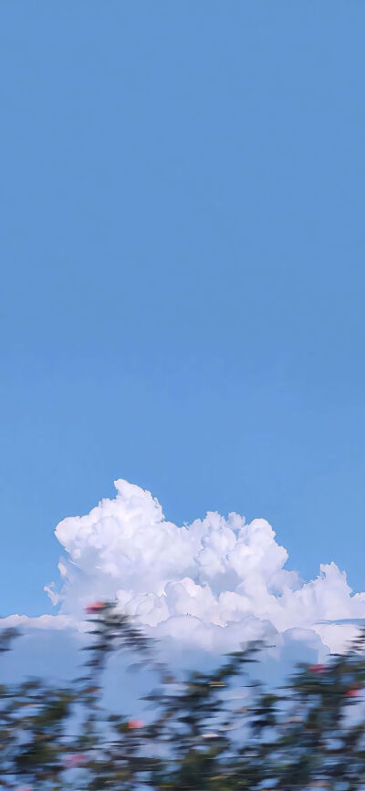 侵删