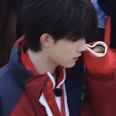 小猪小猪