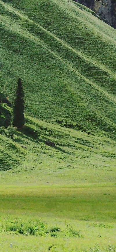 山野