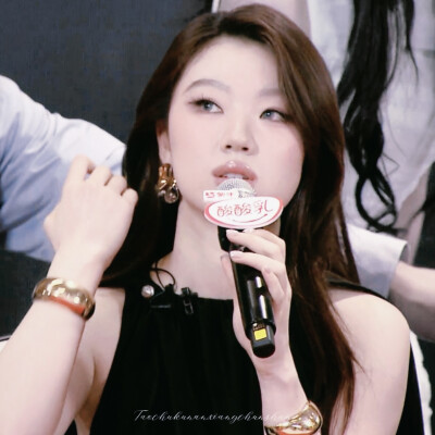 单依纯/歌手2025.