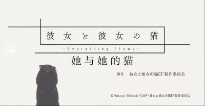 「她和她的猫」