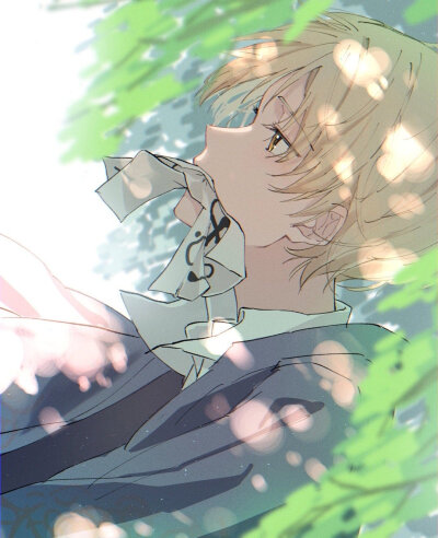 夏目友人帐
（cr .rinzawa_0131） ​​
叶不羞羞羞羞羞羞