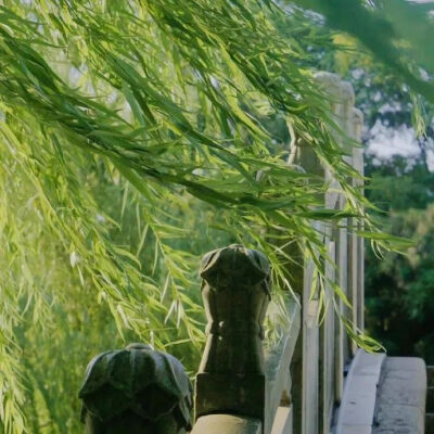侵删