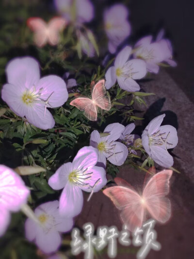 夜晚的宁静时刻、