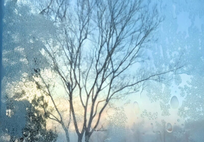 雪景