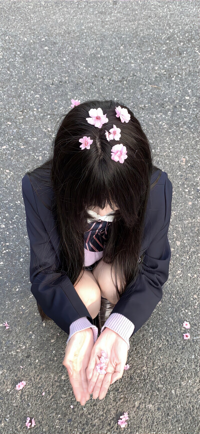壁纸