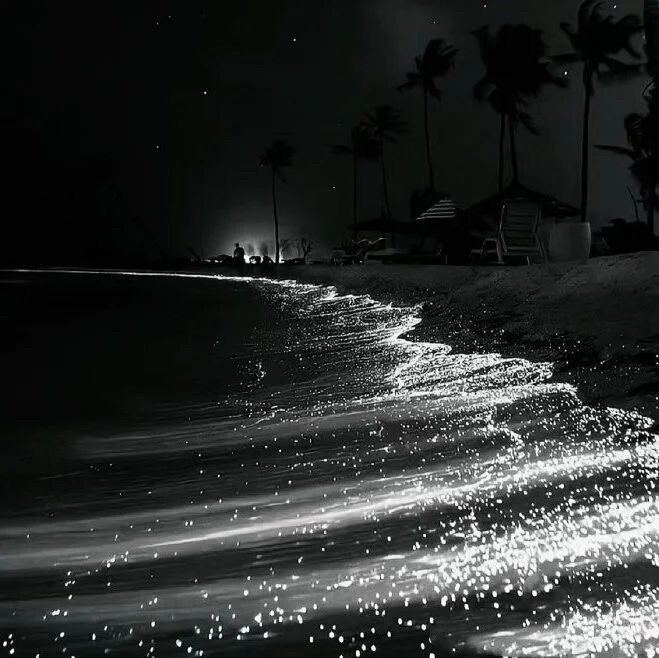 星海