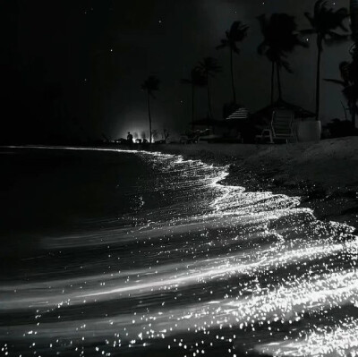 星海