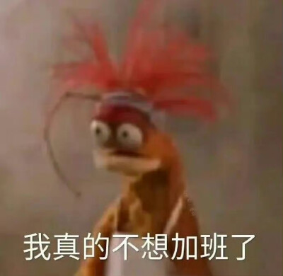 可爱表情包分享