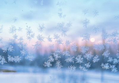 雪景
