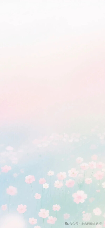 壁纸