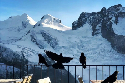 乌鸦雪山