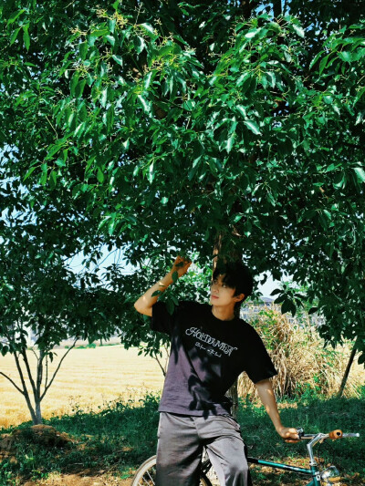 赵小童