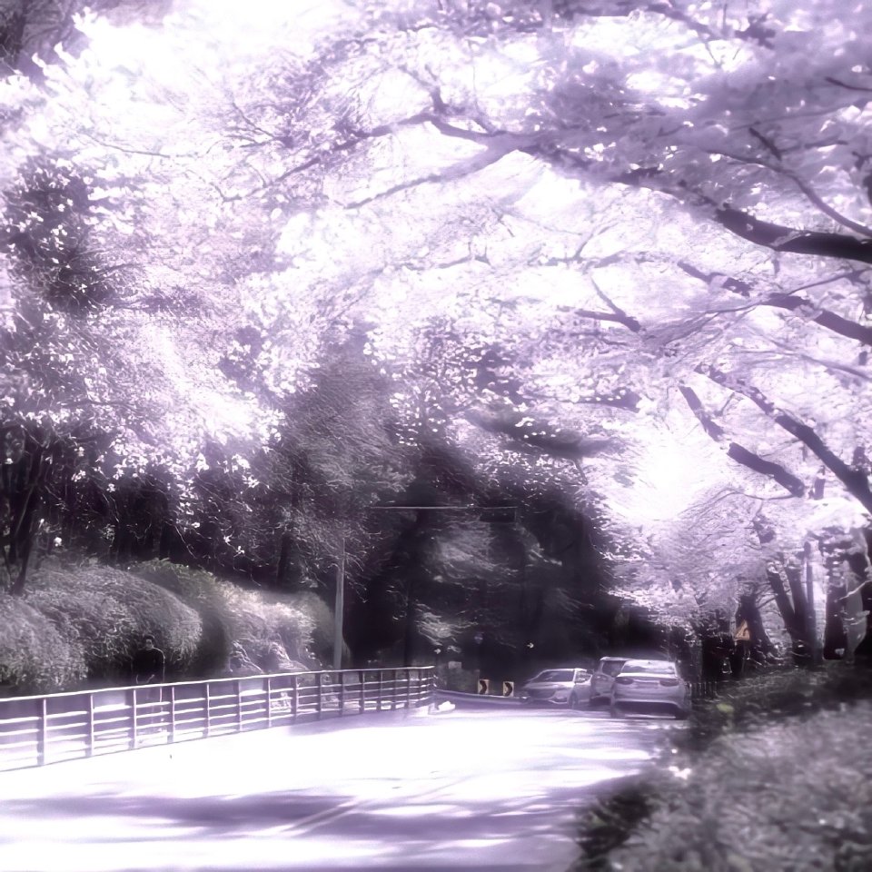 可以用很久の动漫背景图 ıllıııllıl ♪! ​​​