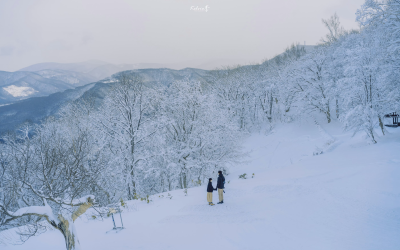 雪景