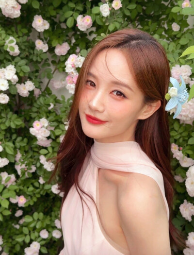李一桐