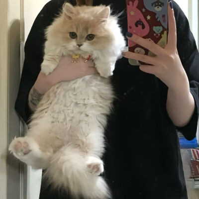 ˖⁩ ♡︎