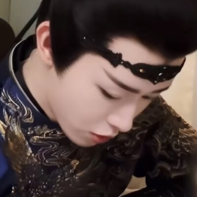 我在想一只布偶猫